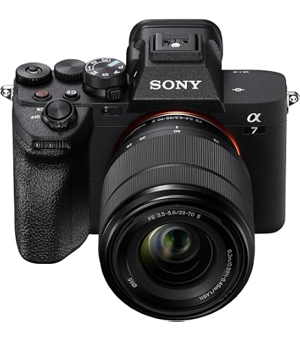Amazon.co.jp: Tamron 70-300mm F/4.5-6.3 Di III RXD ソニーミラー